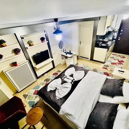 公寓 Taksim Luxury Center Boutique 伊斯坦布尔